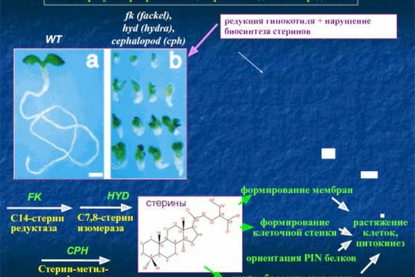 Кракен сайт нарк