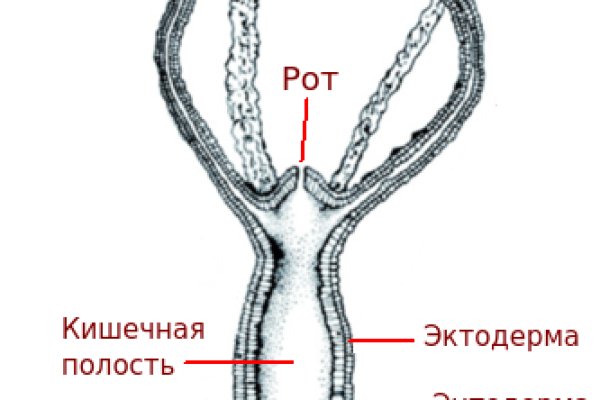 Кракен даркнет сайт на русском