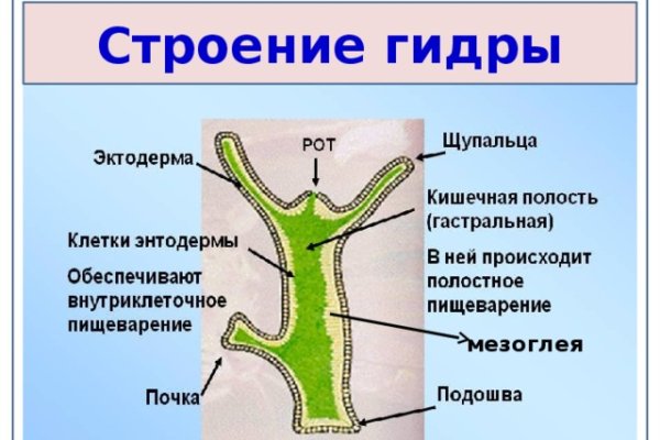 Ссылка на кракен тор магазин