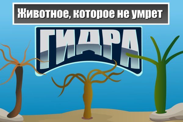 Кракен онлайн магазин